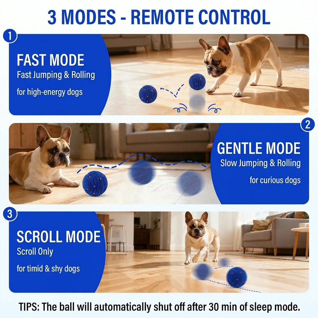 The Zoomie Orb (Interactive Ball) Toy for French Bulldogs