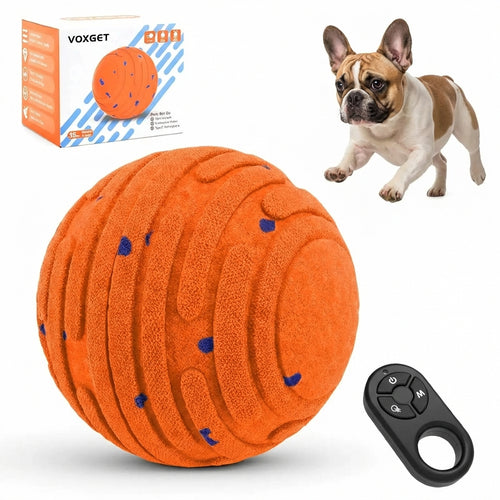 The Zoomie Orb (Interactive Ball) Toy for French Bulldogs