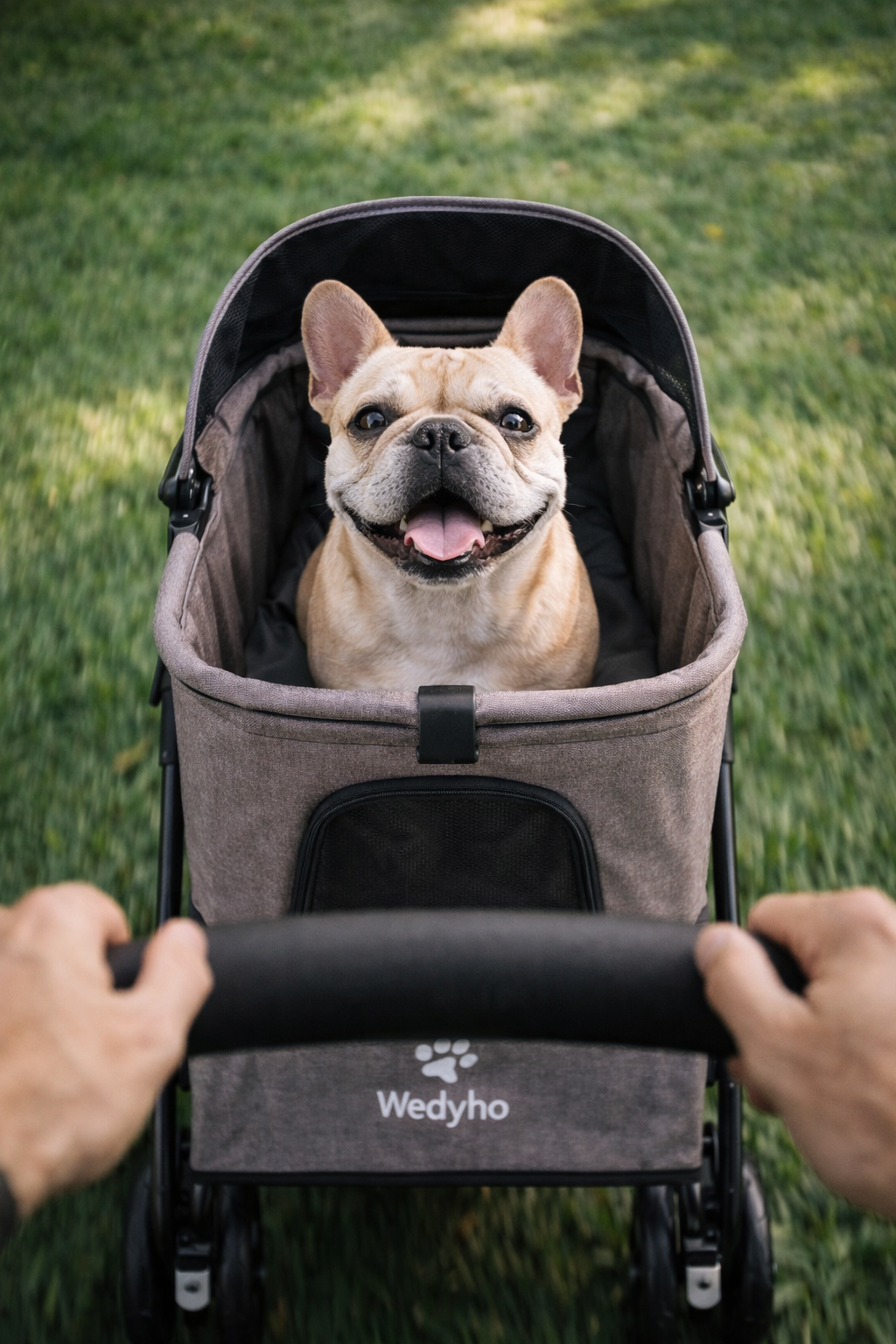 dog stroller for french bulldog The Royal Chariot | 3-in-1 Frenchie Stroller – The Frenchie Vault