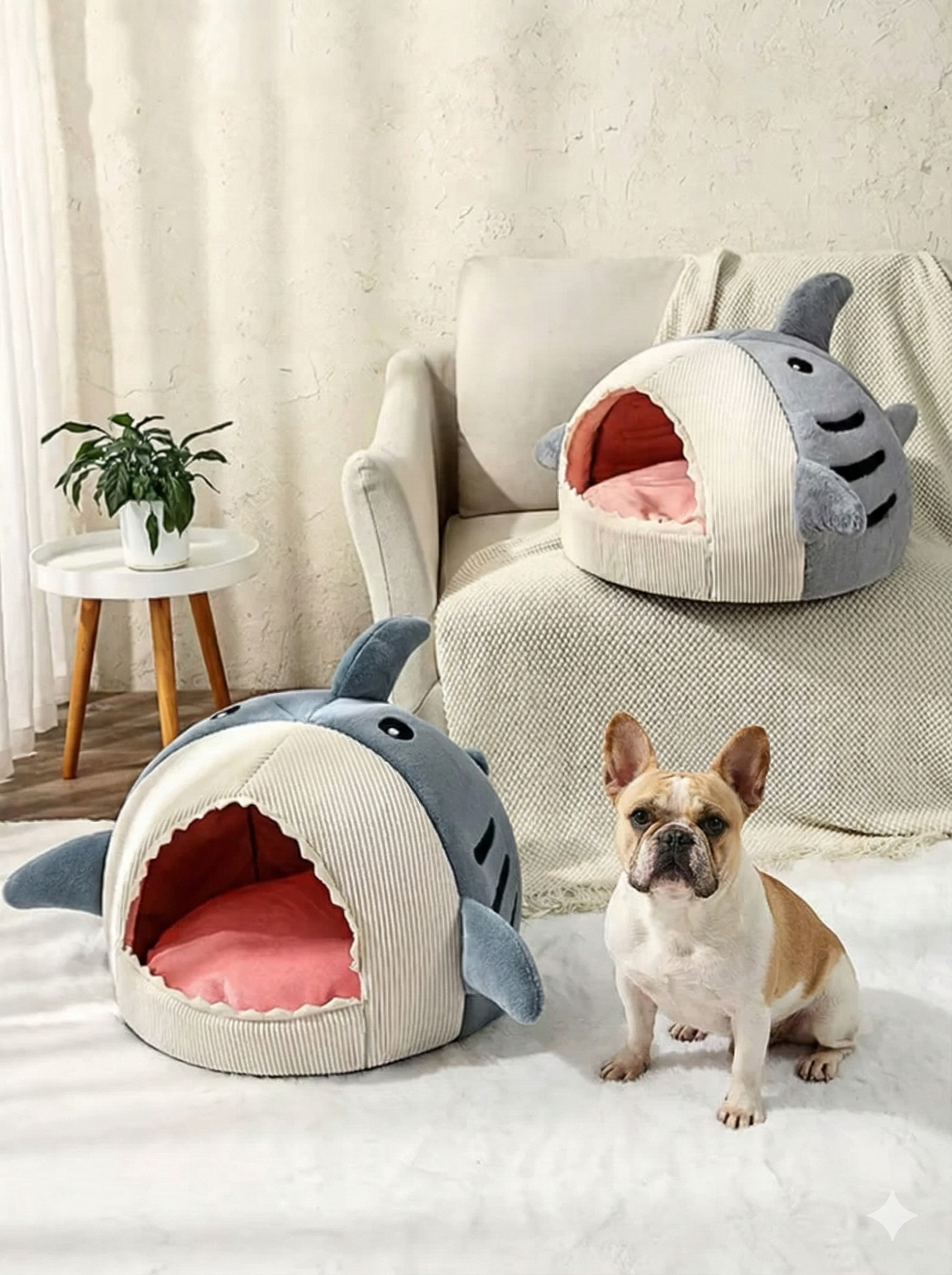 The Shark Attack (Official Bed) Dog Bed for French Bulldogs