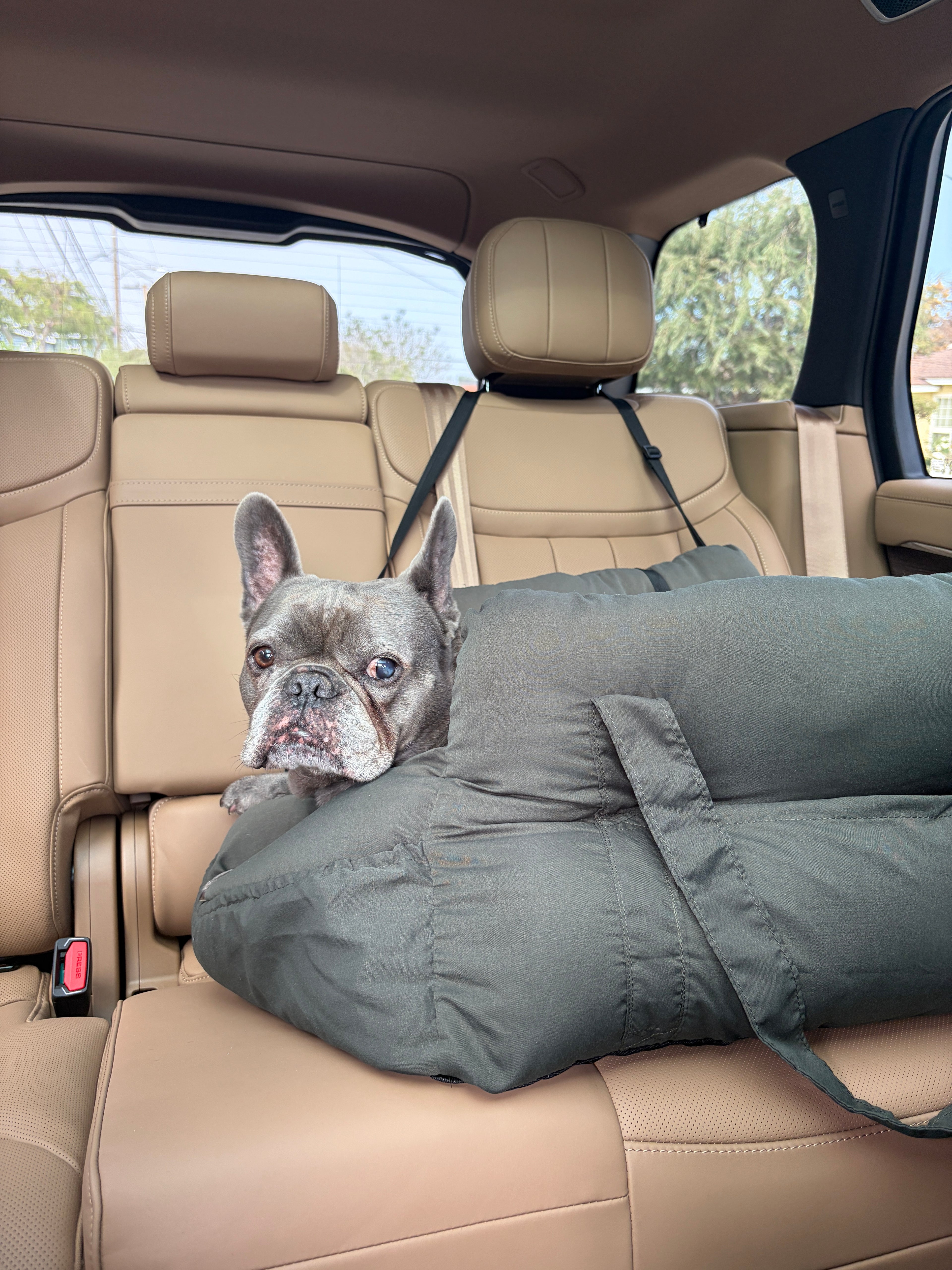 The Co-Pilot Throne Premium