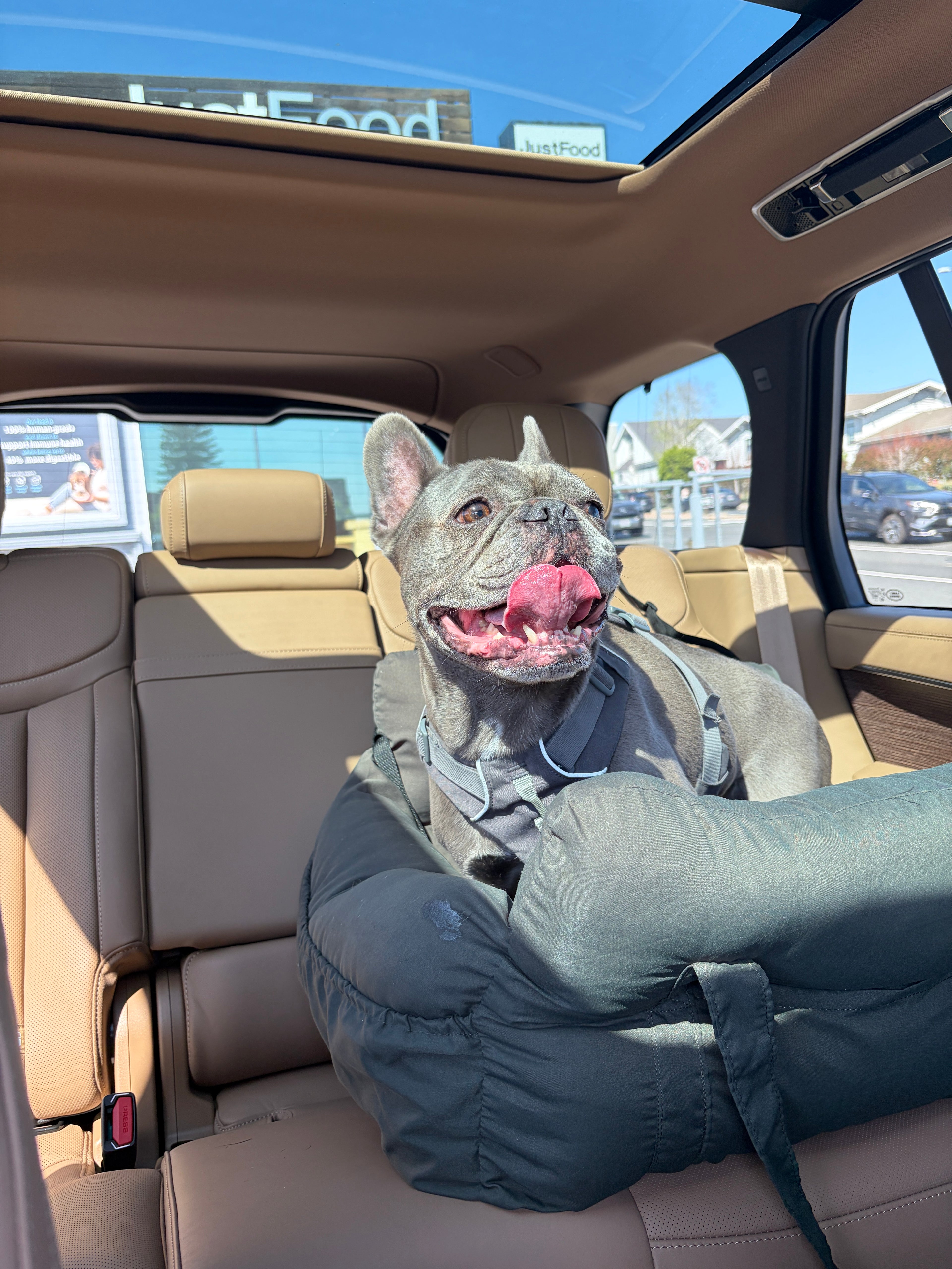 The Co-Pilot Throne Premium