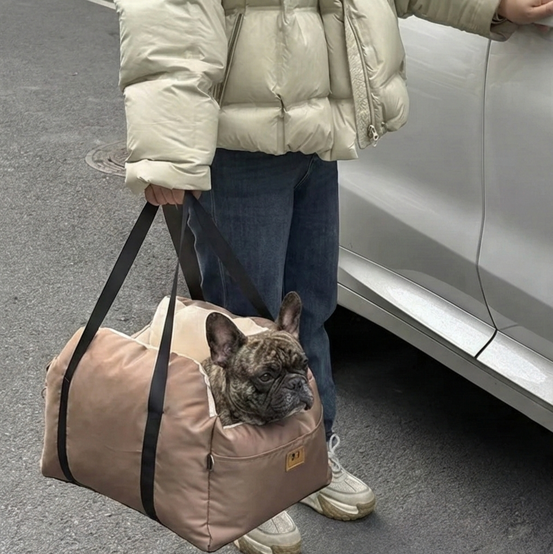 The Co Accessory for French Bulldogs