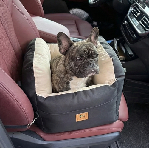 The Co Accessory for French Bulldogs